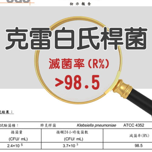 肺炎桿菌klebsiella